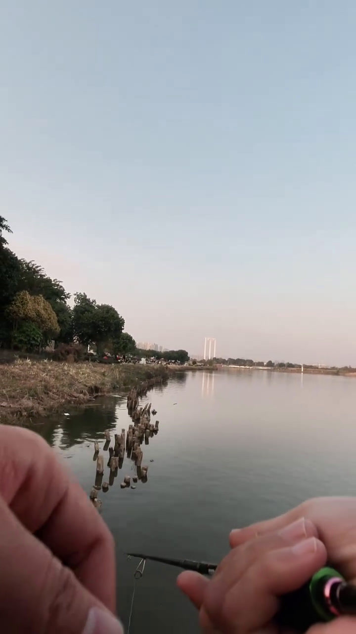 钓友强烈建议我试试这套竿子!