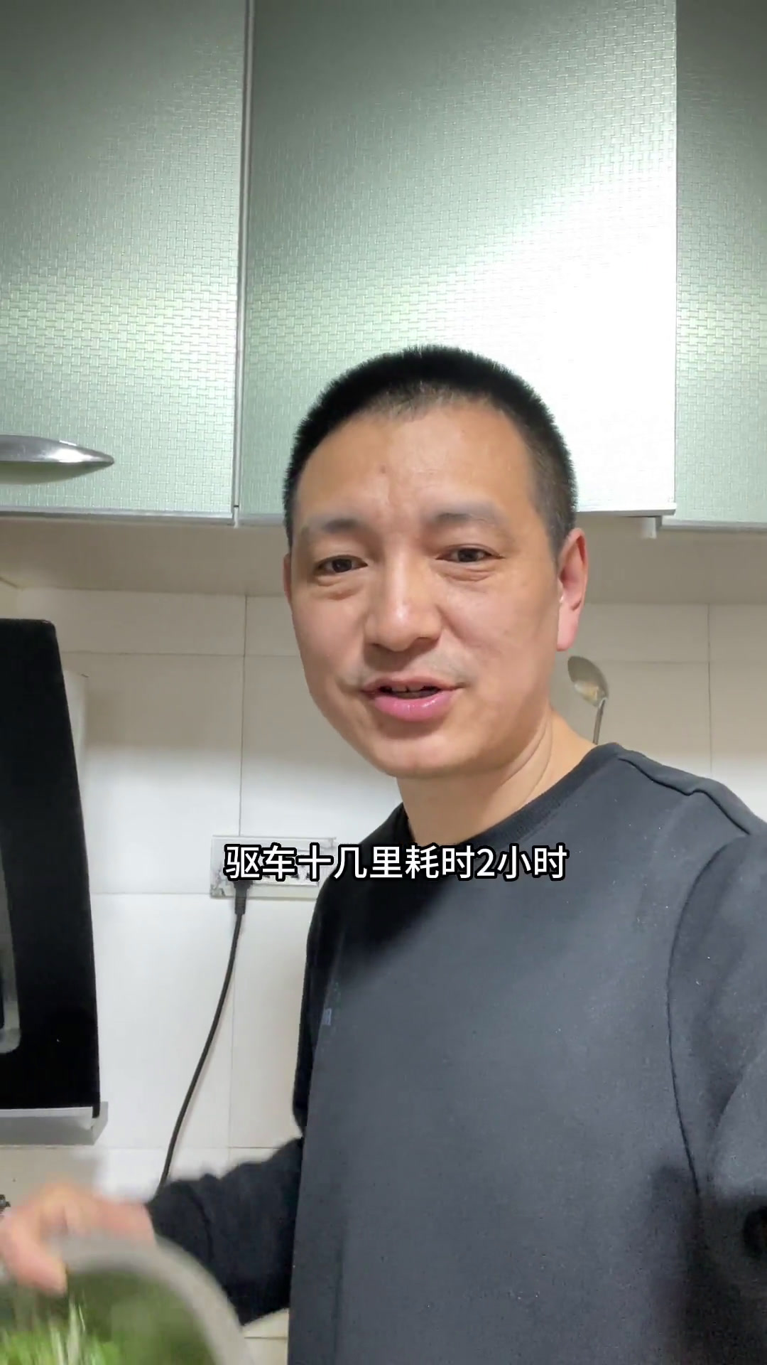 东北特产“野生柳蒿芽”绿色/生态/健康/