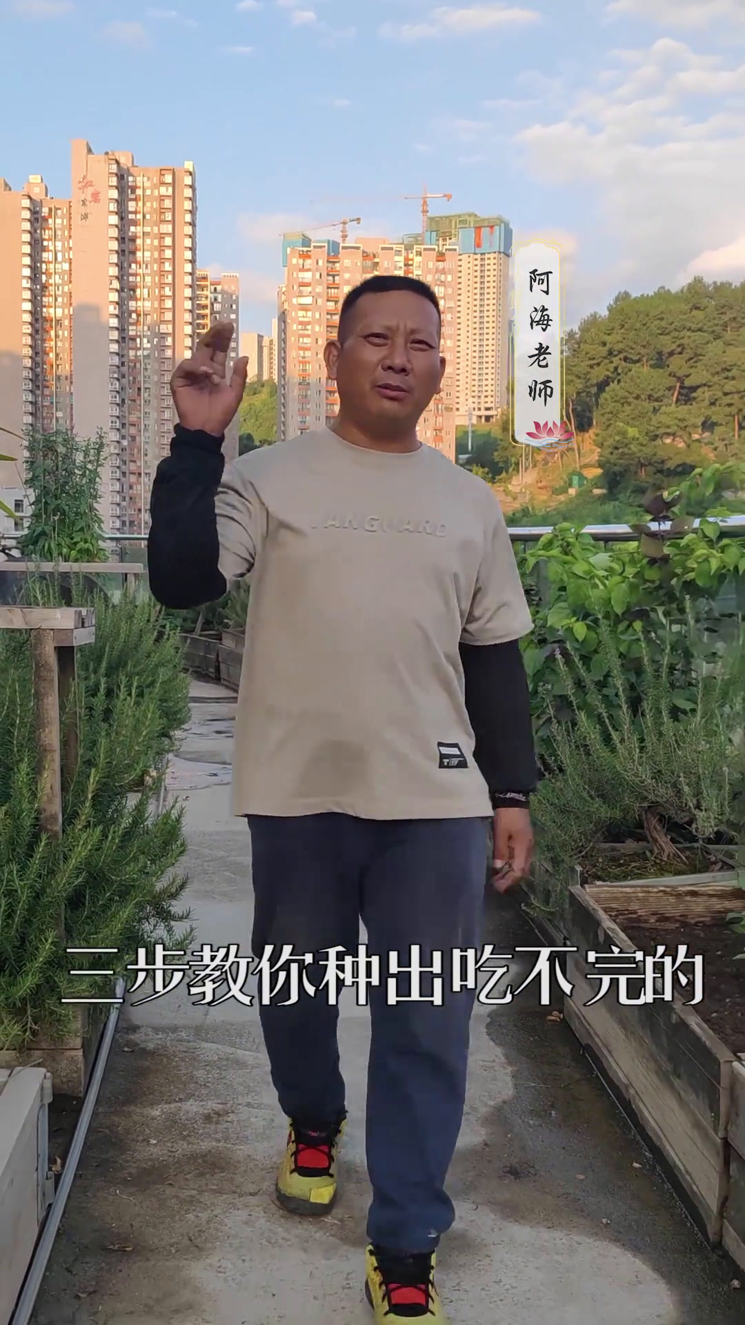 简单种出吃不完的红菜苔