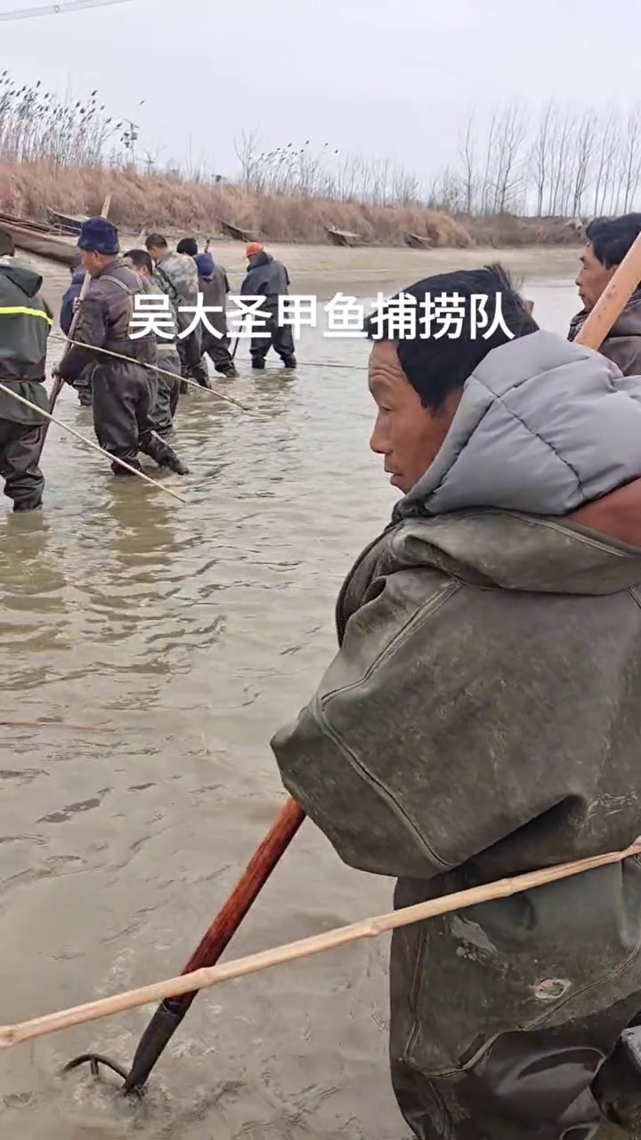 甲鱼捕捞现场