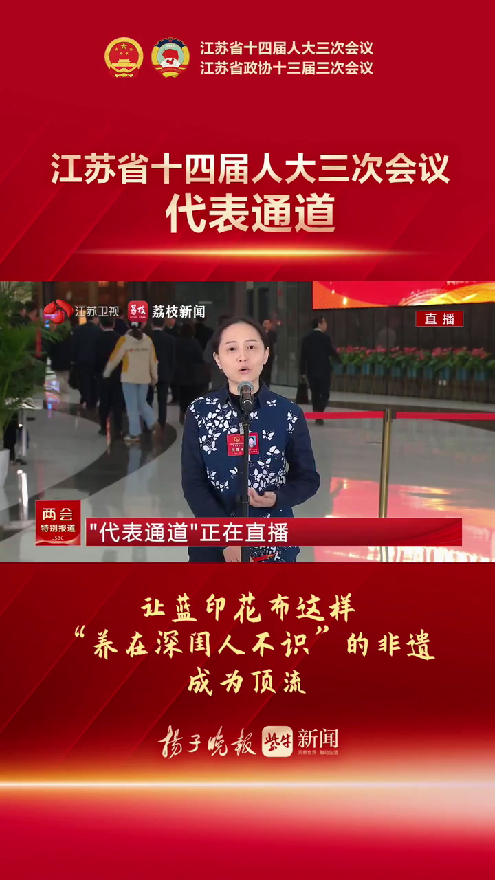 代表通道|吸引李子柒的蓝印花布有多美?看这位代表!