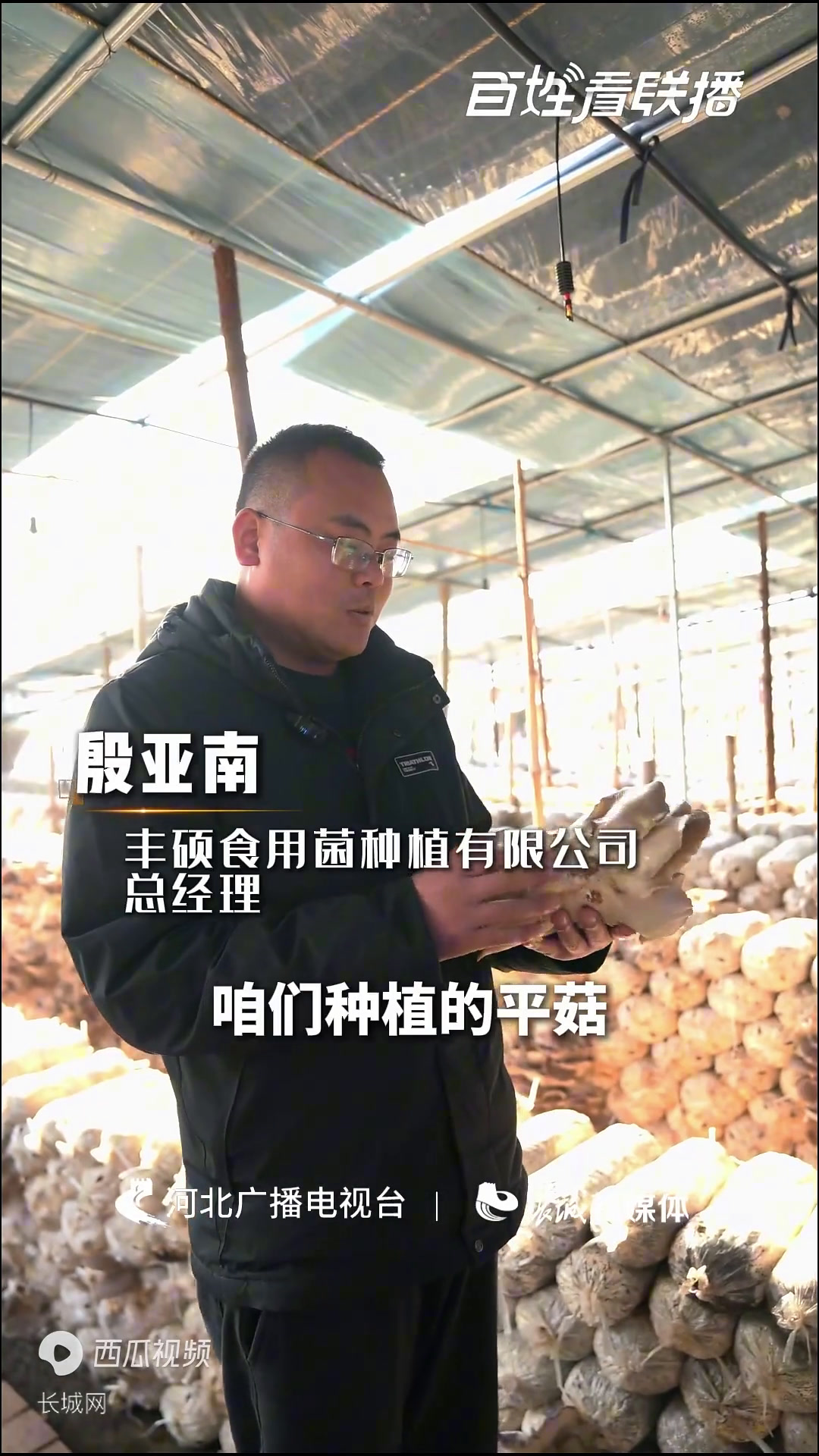 百姓看联播|净菜蘑菇 飘香京津