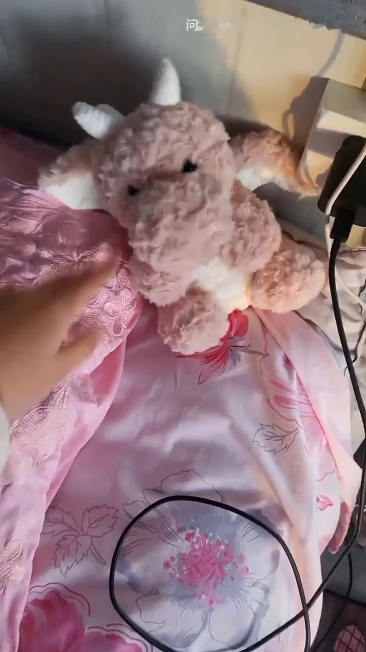 哄睡vlog/又摆大席/年货先炫一波/肉松小贝蝴蝶酥威化/自灌皮蛋肠/开边蚕蛹煎刀鱼大鹅酸