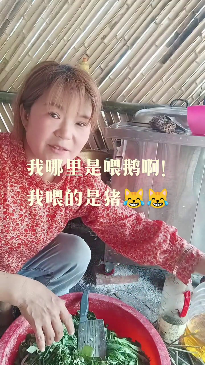 放养鹅!打野草喂!