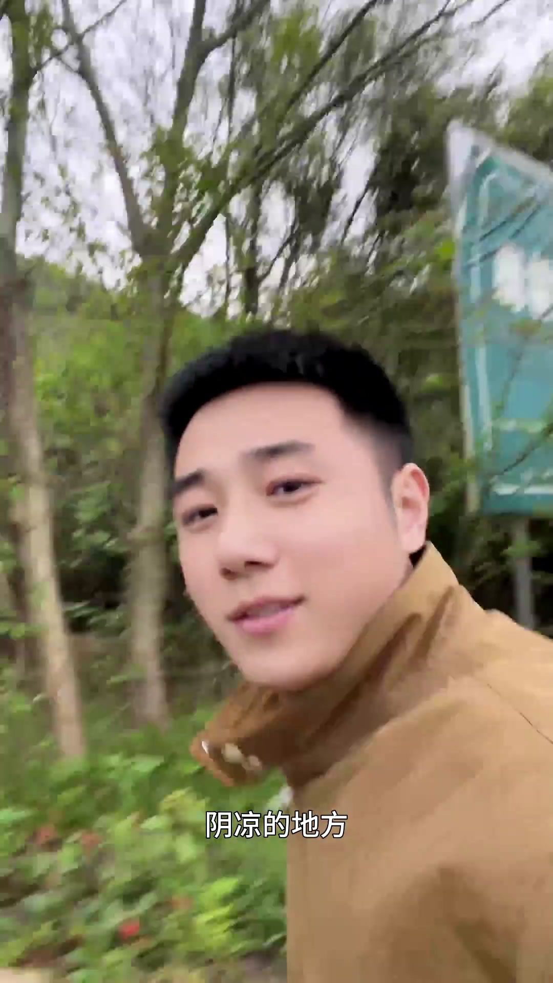 上山挖蕨菜,谁要说蕨菜不能吃,云贵川一定跟你急