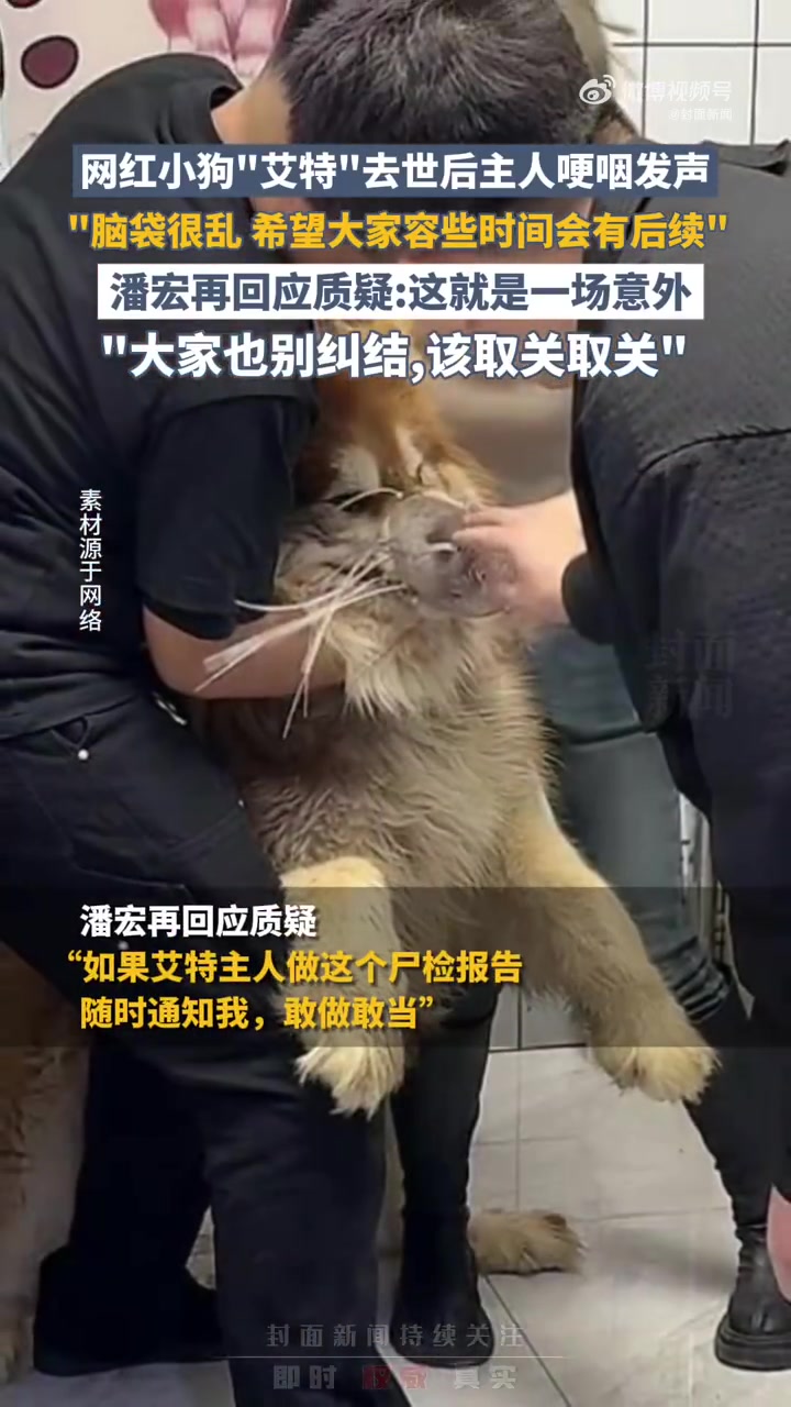 1月19日,千万网红博主潘宏园区的狗狗“艾特”洗澡时去世,引发关注。此后,潘宏发文道歉,否