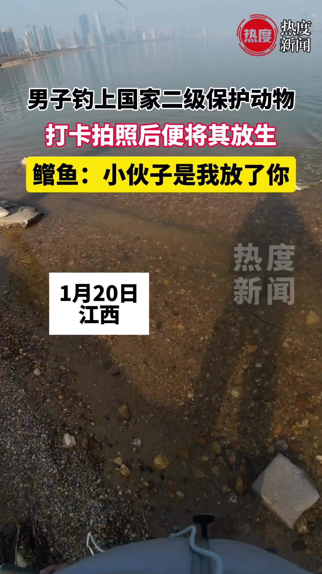 男子钓上国家二级保护动物,打卡拍照后便将其放生,鱼:小伙子是我放了你