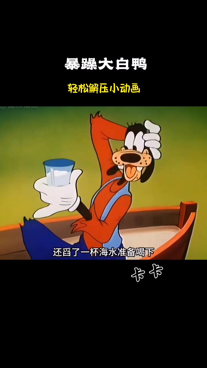 这是一只暴躁的大白鸭