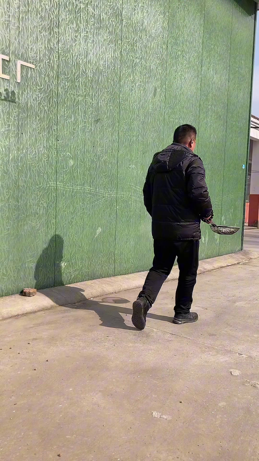 房化雨来告诉鸡头果的正确吃法?