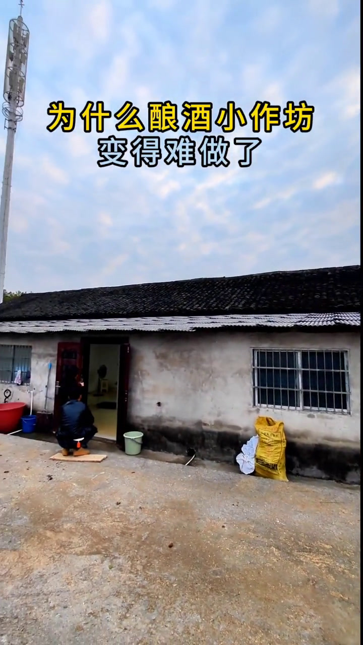 开酿酒小作坊的全流程
