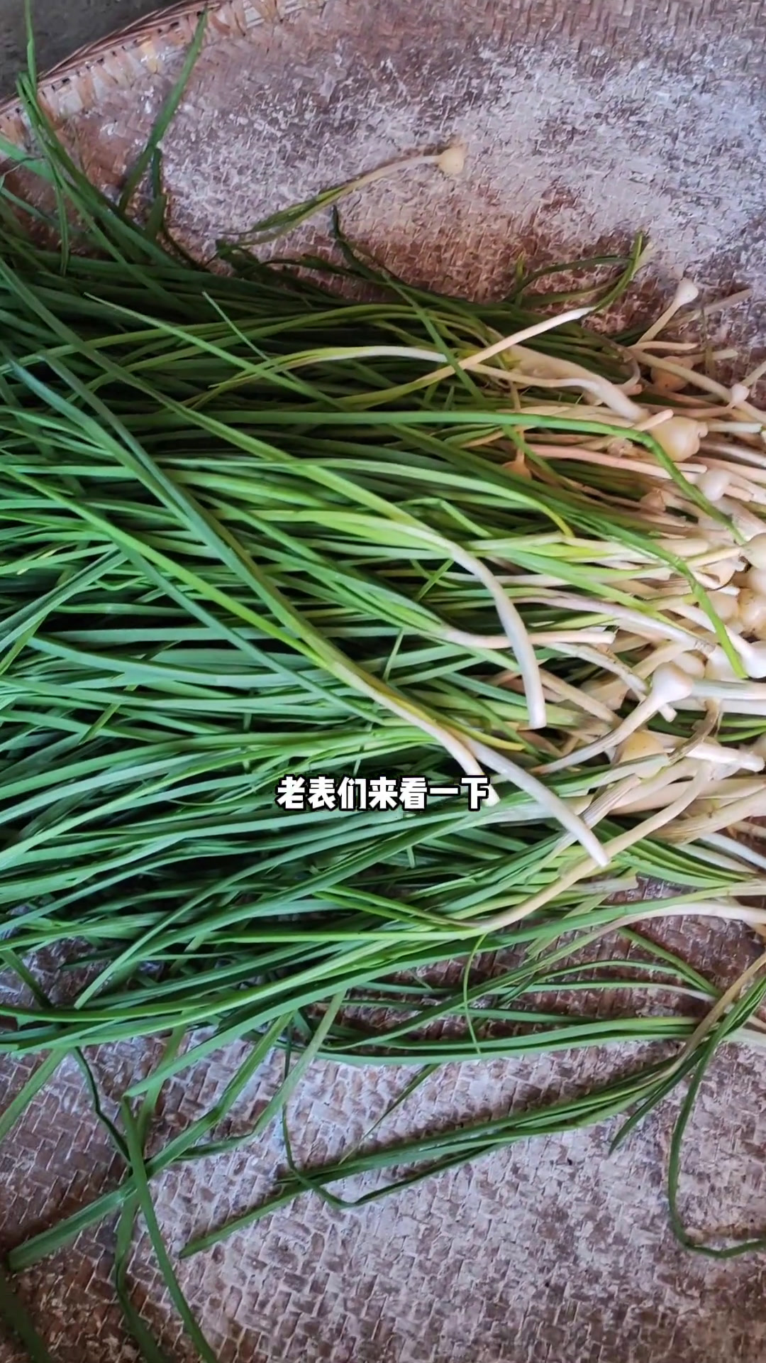 今天又去坡上找了两背篓野油菜和野小蒜,摘好了洗干净焯水