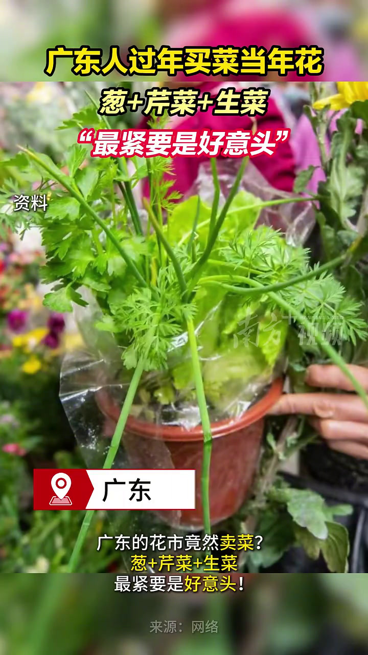 葱+芹菜+生菜,广东人过年买菜当年花,“最紧要是好意头”