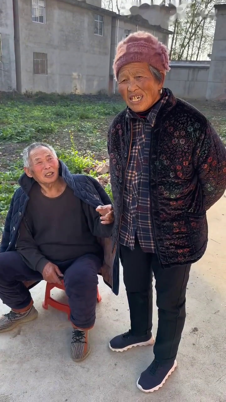 请老人吃丸子鸡腿大炖菜