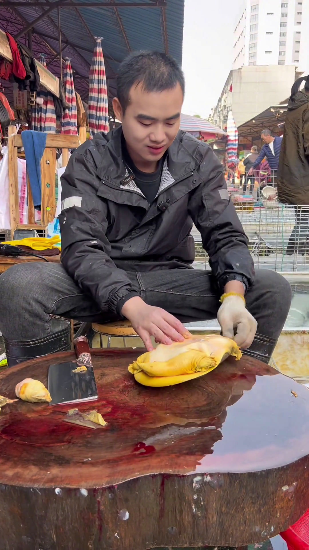 水鱼要怎么区分公母呢?一个小技巧教会你