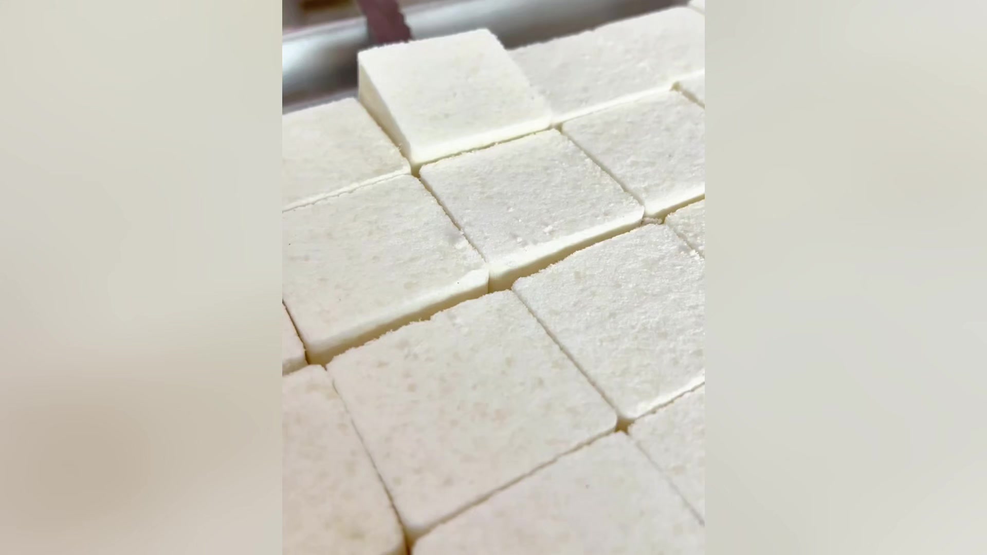 也没人告诉我中草药糕点这么好吃啊