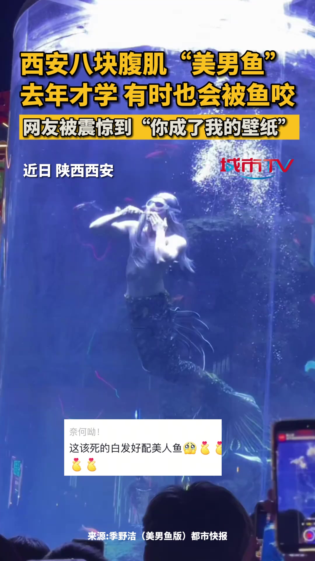 西安八块腹肌“美男鱼” 去年才学 有时也会被鱼咬 网友被震惊到“你成了我的壁纸” 美人鱼 