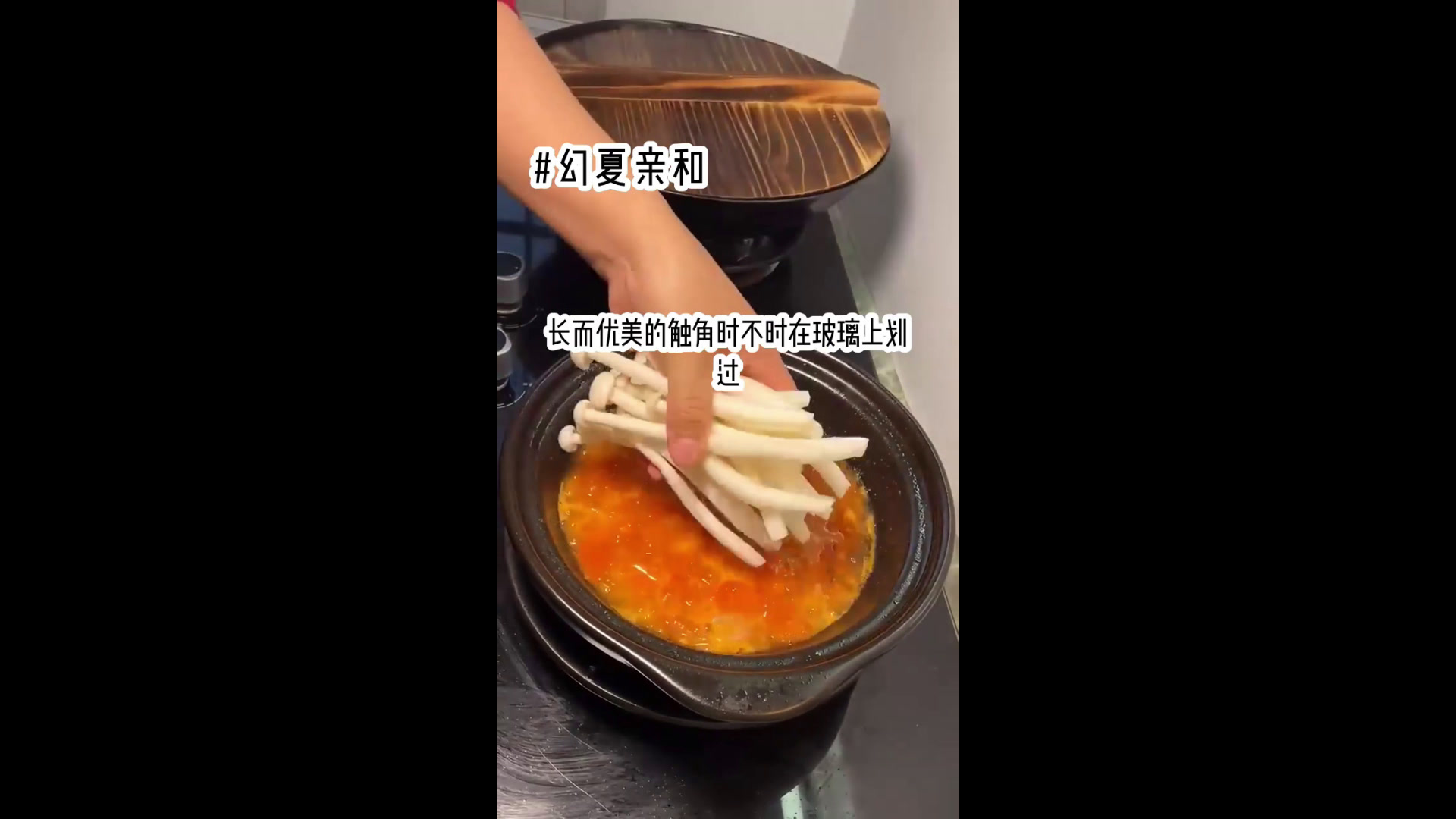 书茗:《幻夏亲和》我是基地里最温柔的饲养员