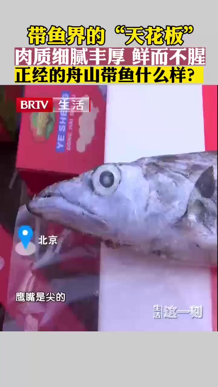 带鱼界的“天花板” 正经的舟山带鱼什么样?