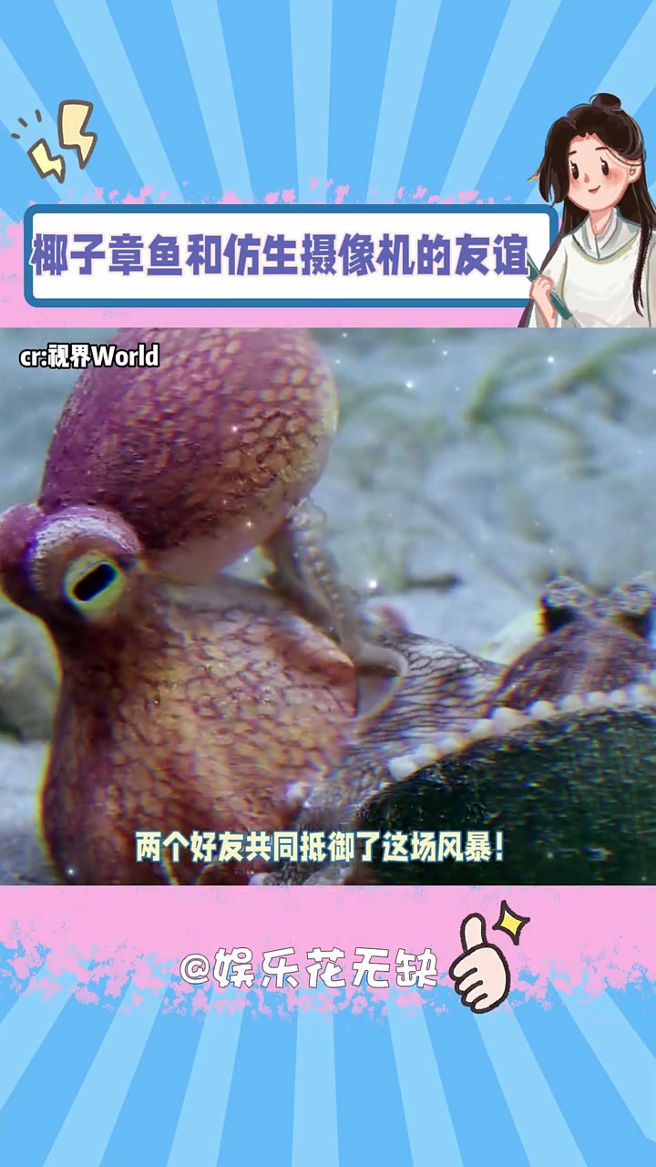 章鱼也会爱上电子数据 章鱼 海洋生物