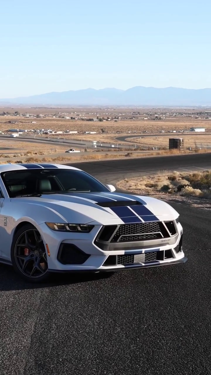 找不到答案的时候就先找自己 谢尔比gt350