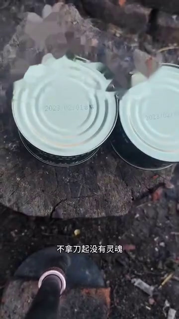 国产20元一罐的带鱼罐头