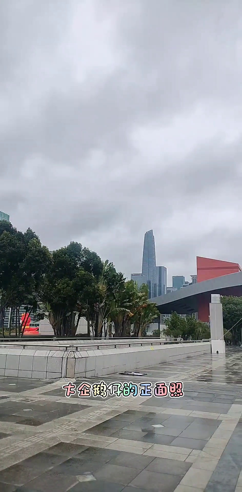 大胖子企鹅在雨中