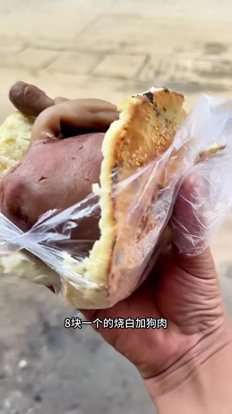 8元烧饼夹狗肉……