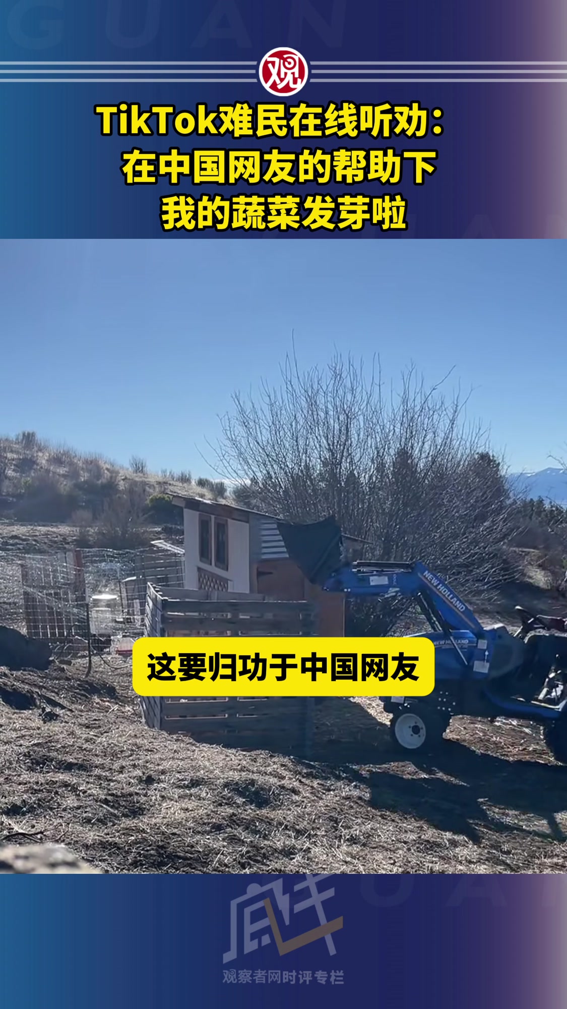 TikTok难民在线听劝:在中国网友的帮助下,我的蔬菜发芽啦