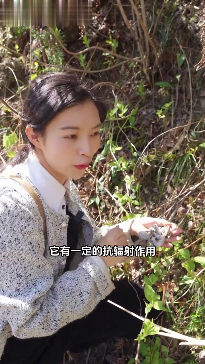 采完春天最后一波野菜,就该过夏天啦,转眼回村三年