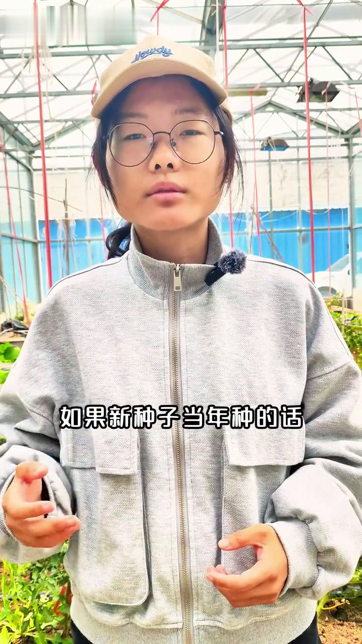 不同蔬菜种子保存和栽种方法!