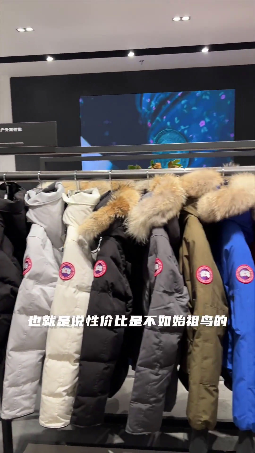 相对于始祖鸟,加拿大鹅的性价比差了很多