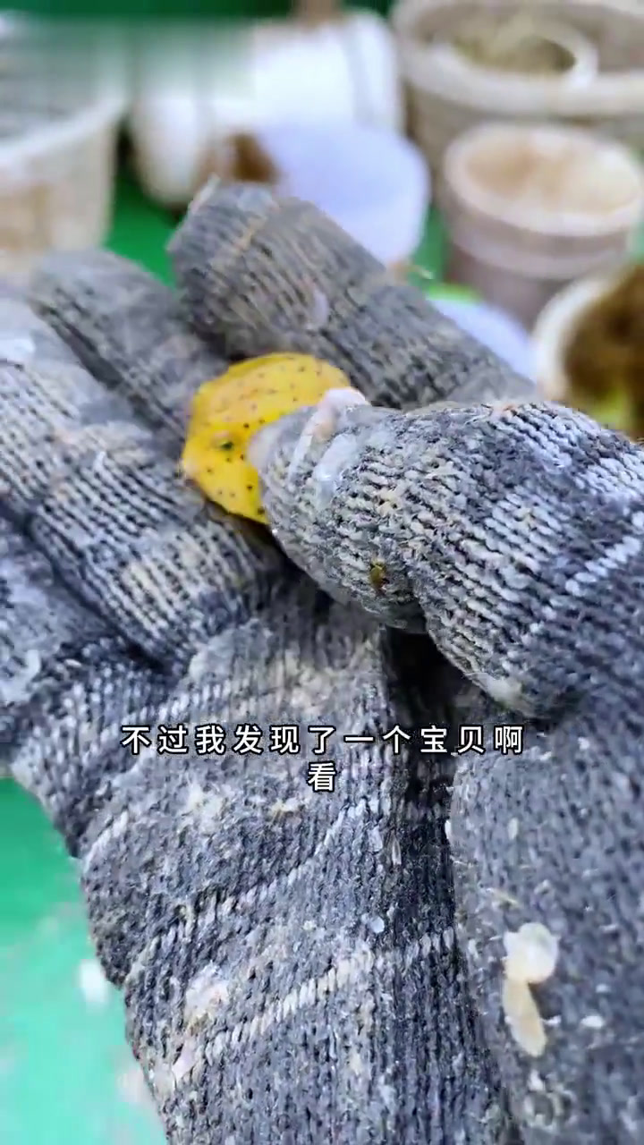 替湖北十堰的黄老板出海捕鱼,真的太刺激了