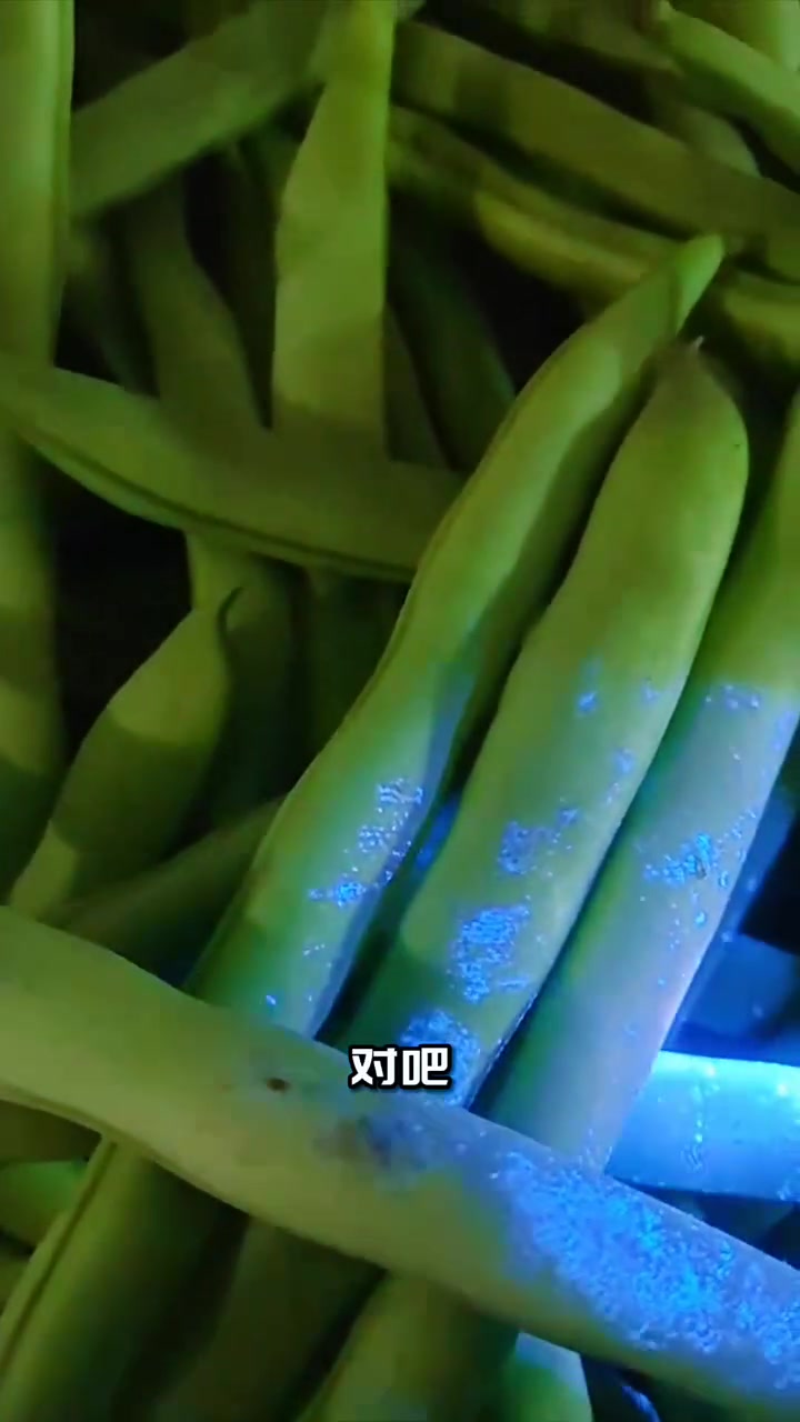 365紫光蔬菜检测灯