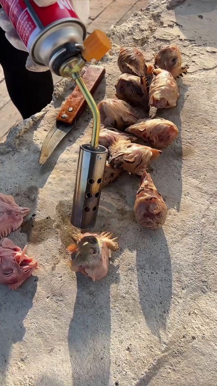 年夜饭菜单出来了,你们都准备好没,我在东北过大年