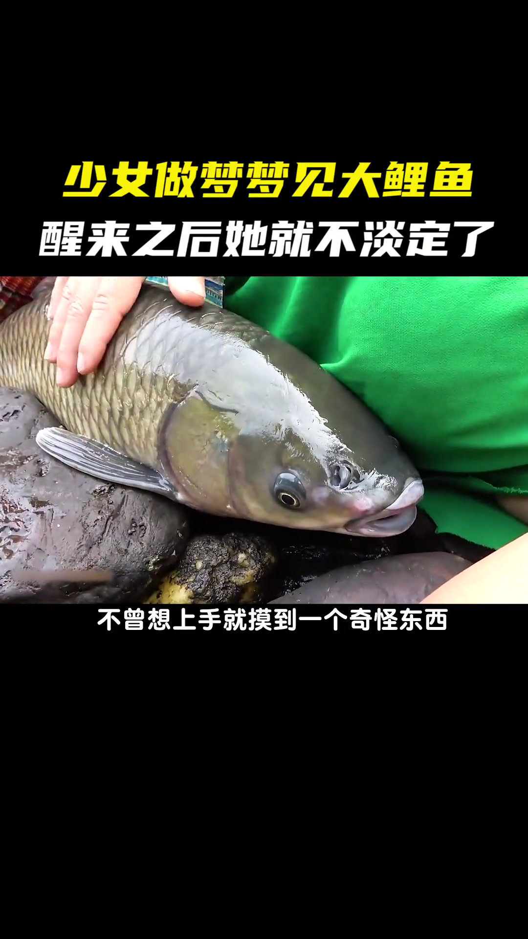 少妇梦见大鲤鱼,醒来她吓坏了
