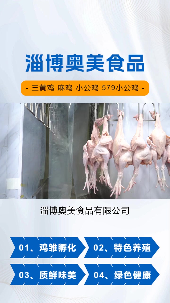 滨州817三黄鸡厂家,欢迎大家走进淄博奥美食品有限公司的世界