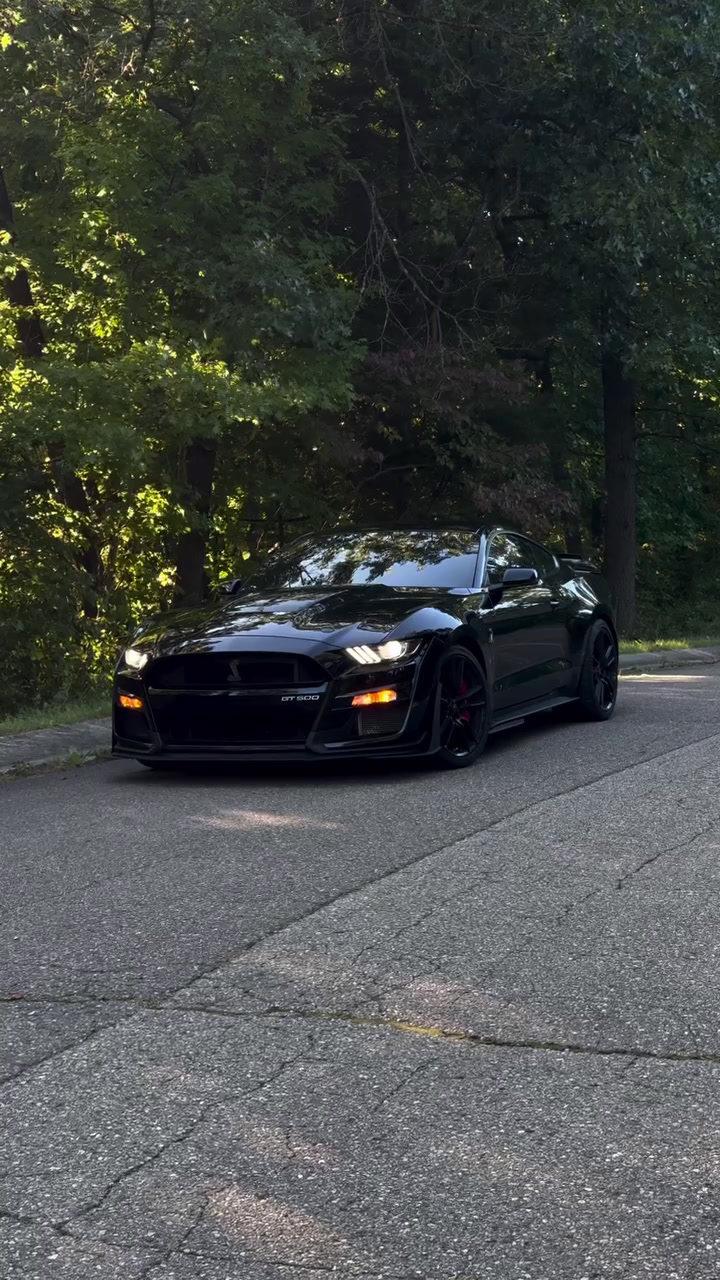 的确 我们都需要时间来专注自己 谢尔比gt500