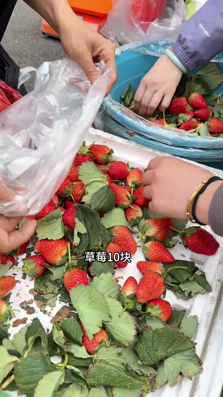 200块吃顿豪华版年夜饭海鲜火锅,每道菜都满载着祝福与温暖