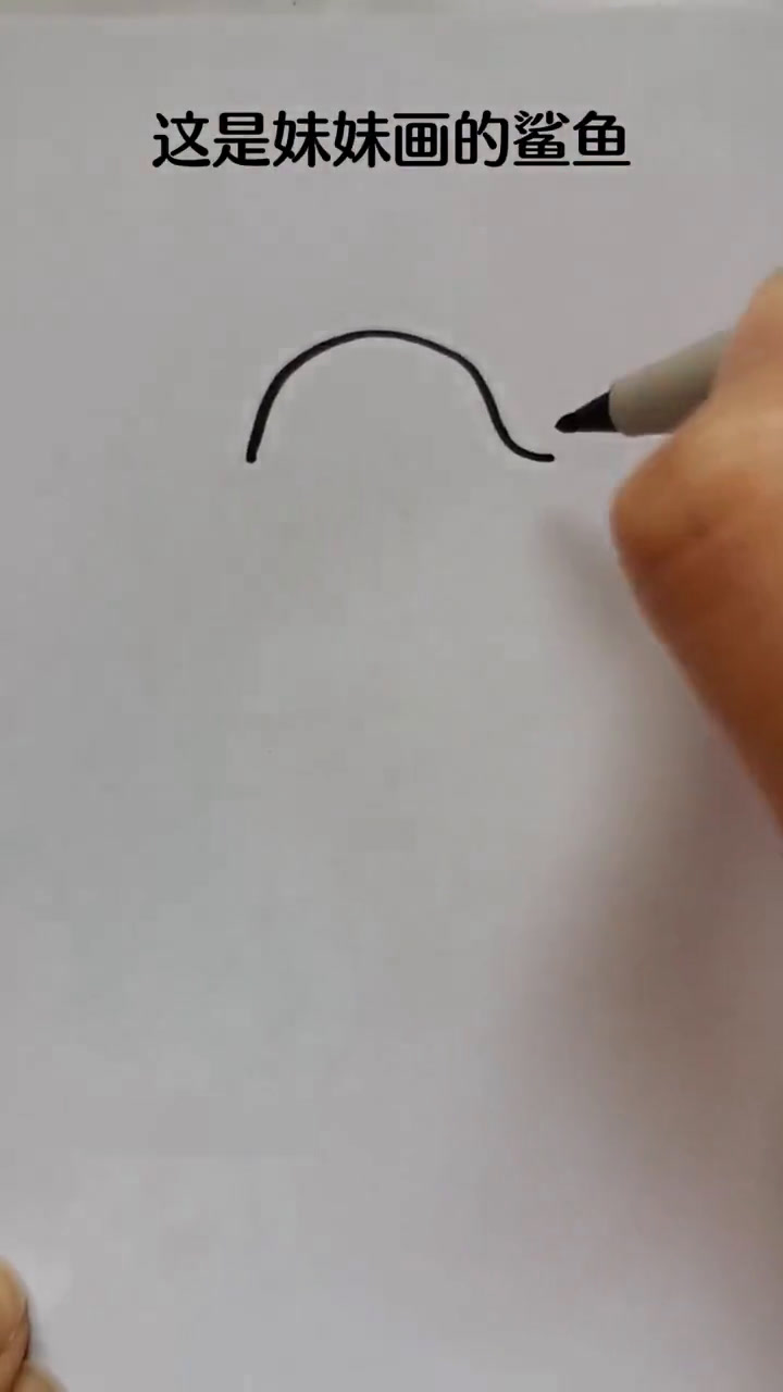 谁画的鲨鱼最可爱?
