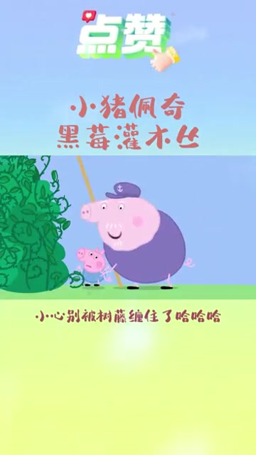 小猪佩奇|第四季|黑莓灌木丛