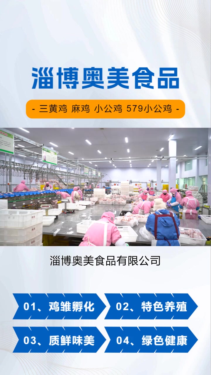 东营冷鲜三黄鸡哪家好,淄博奥美食品有限公司坚守诚信经营的原则