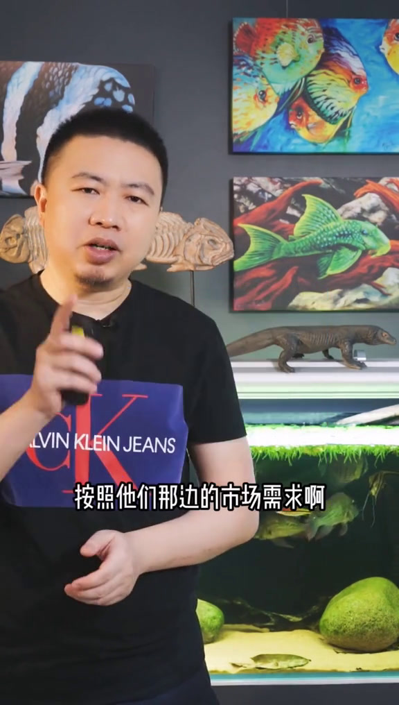现在金鱼市场泰狮和兰寿特别火爆,这两个外国改良品种为啥风头压过了中国传统金鱼?
