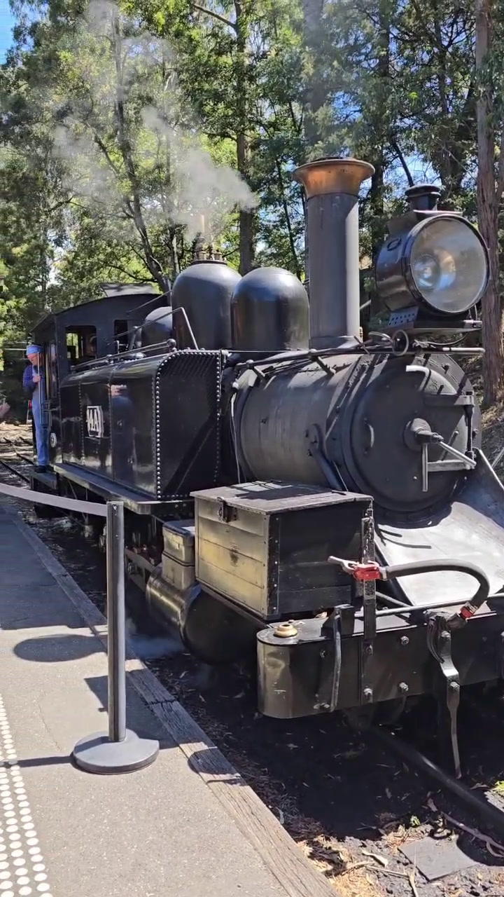 墨尔本复古蒸汽小火车抵达钟点站,游客与白胡子大爷老司机合照