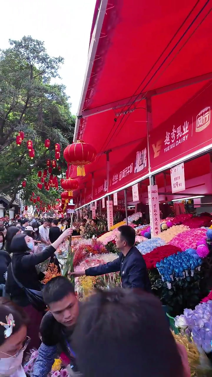 第一次到广东过年,北方人有什么感受?|我镜头里的广东年