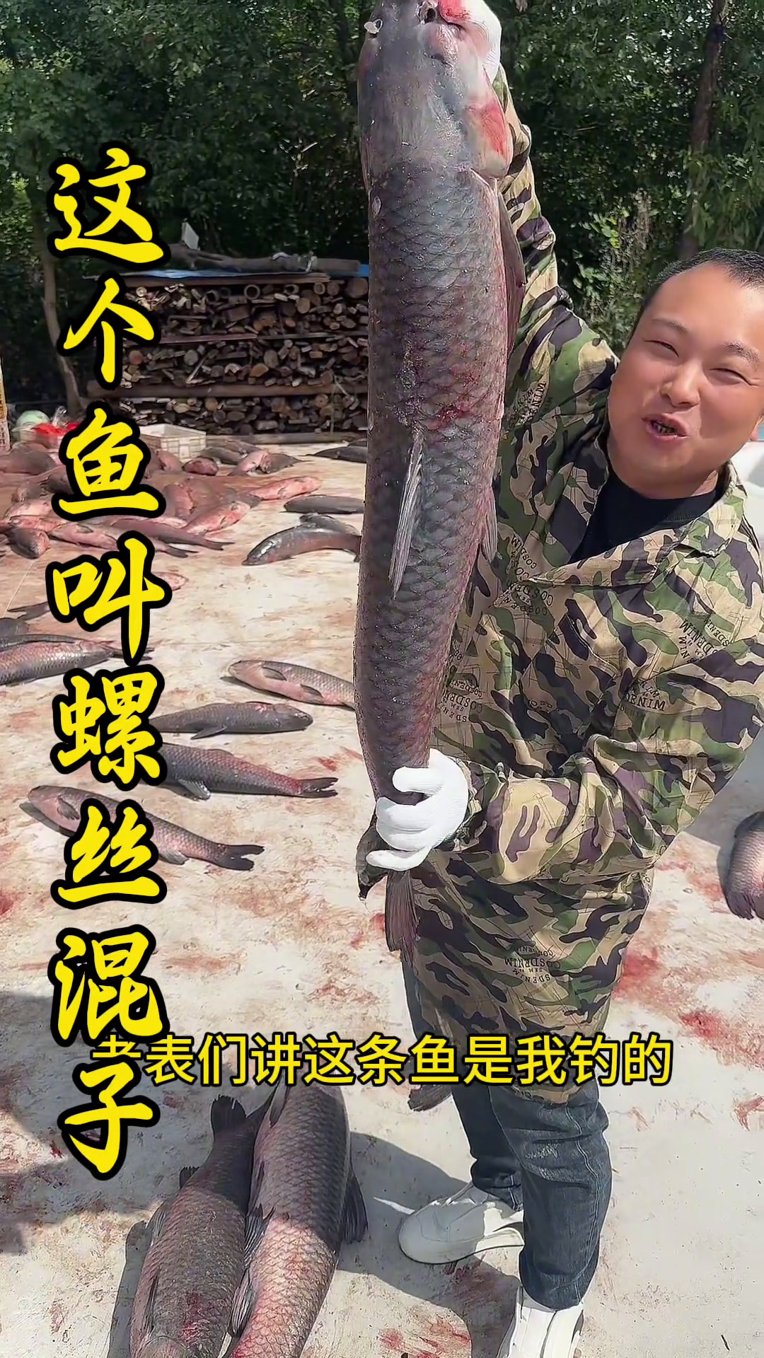 螺丝混子起塘了 今天螺丝混子起塘了,现S现腌制味道正宗罩不住