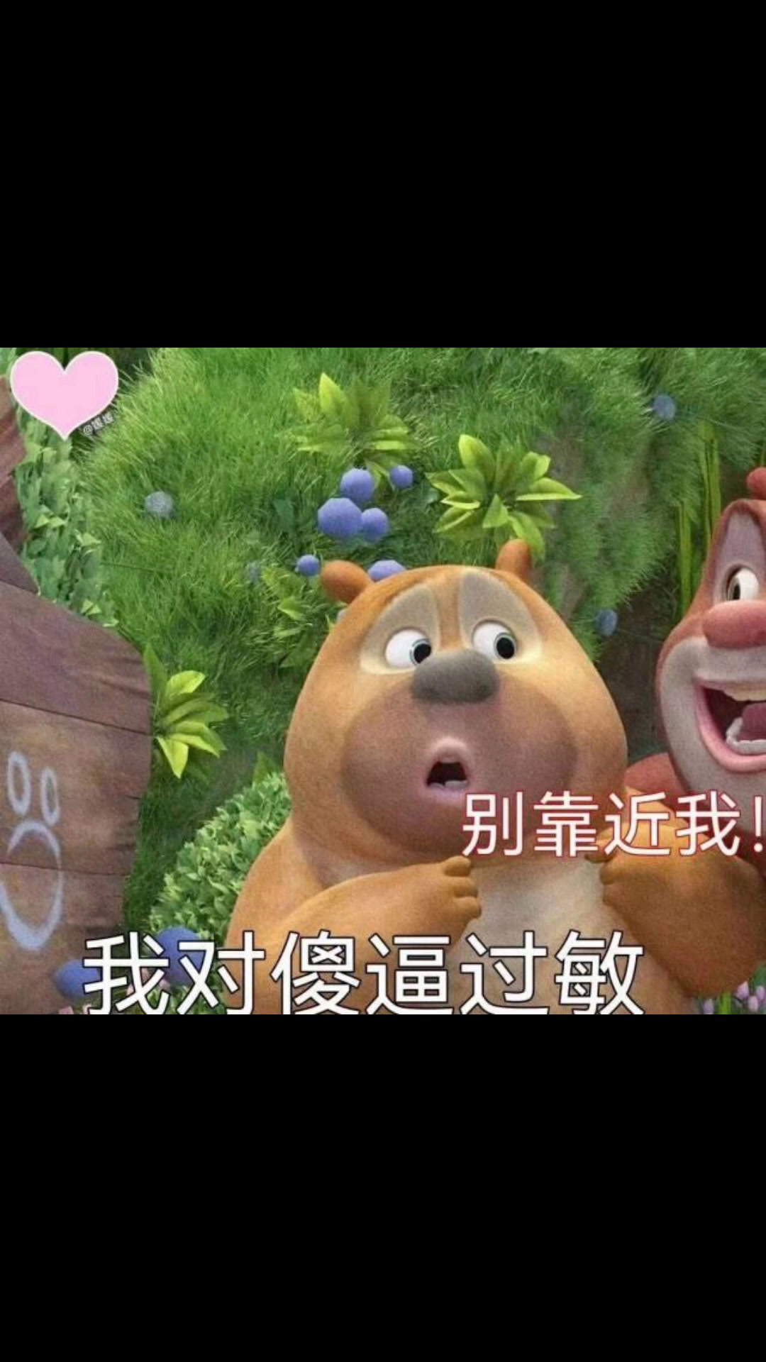 熊大熊二表情包