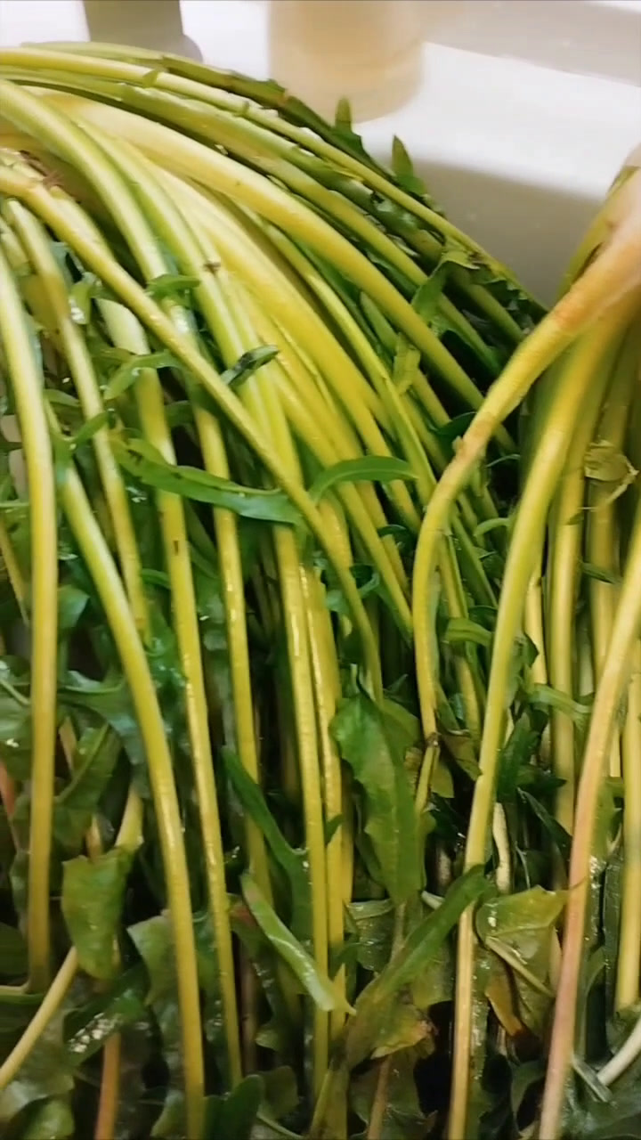 意大利这个叫什么菜?外面的超级老,但嫩的心做沙拉很好吃