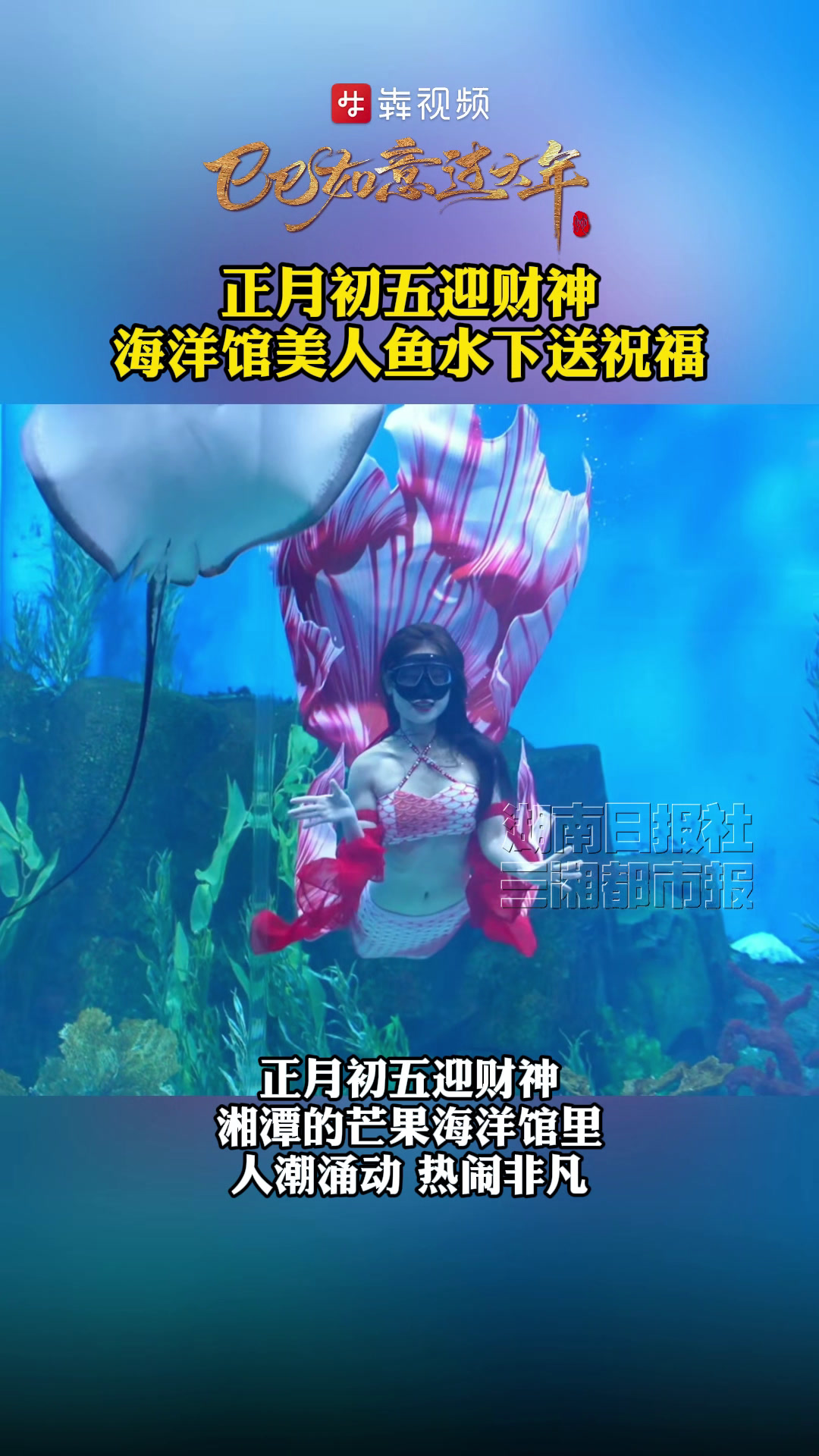 过年啦丨正月初五迎财神,海洋馆美人鱼水下送祝福