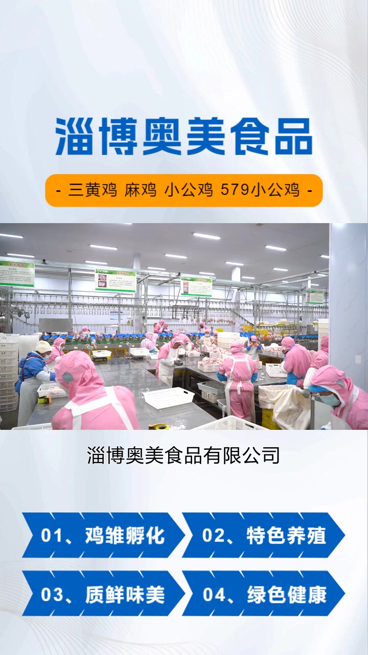河北三黄鸡厂家,作为一家食品企业,淄博奥美食品有限公司以其优