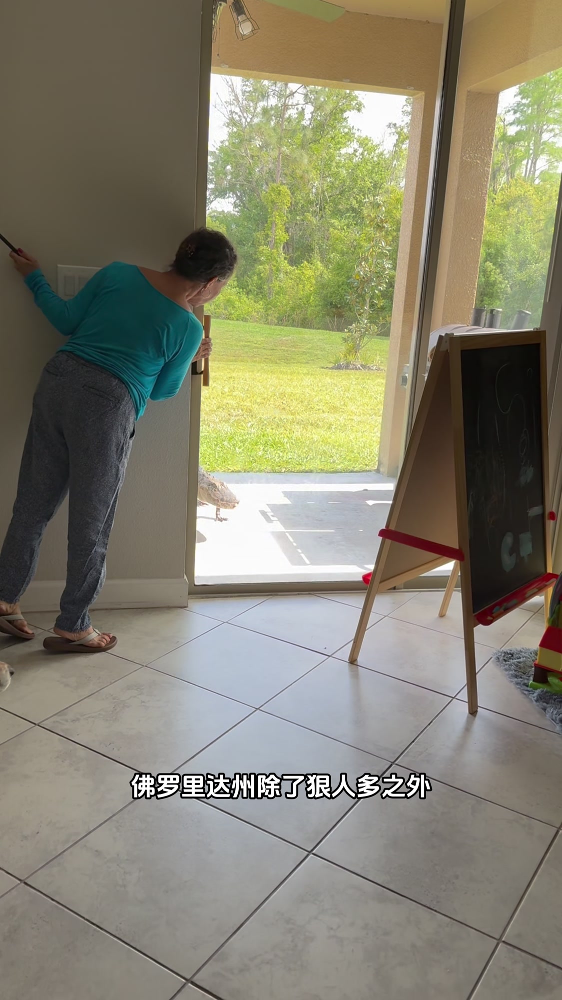 在佛罗里达州鳄鱼随处可见。最后的那一段整活给点意见哈哈